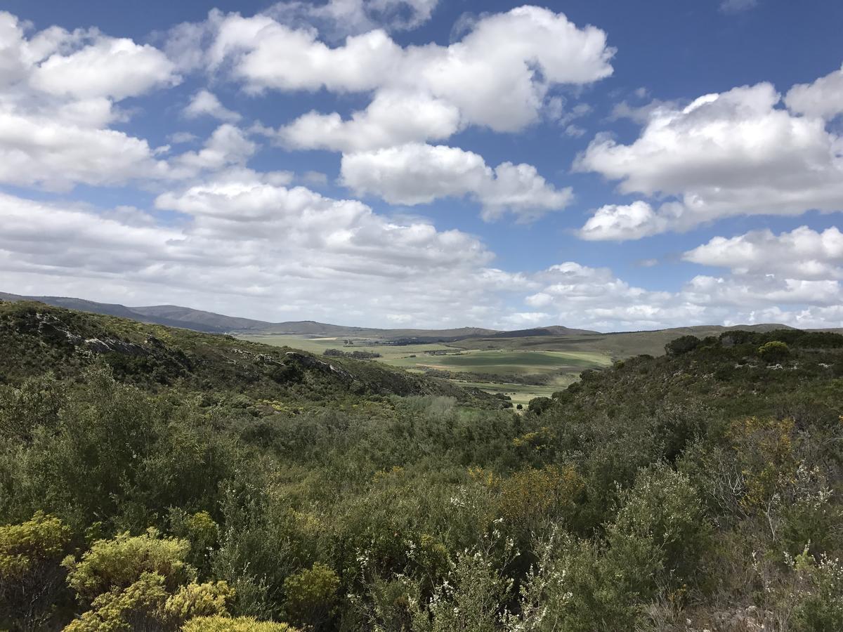 Goedvertrou Guest Farm Papiesvlei Екстериор снимка
