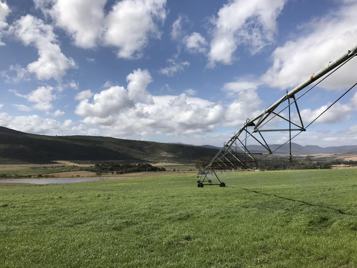 Goedvertrou Guest Farm Papiesvlei Екстериор снимка