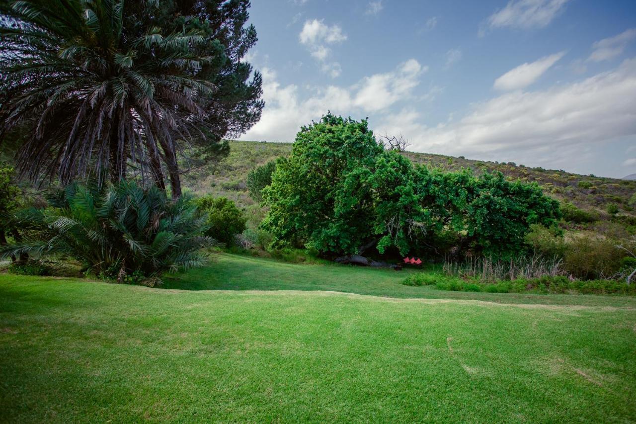 Goedvertrou Guest Farm Papiesvlei Екстериор снимка