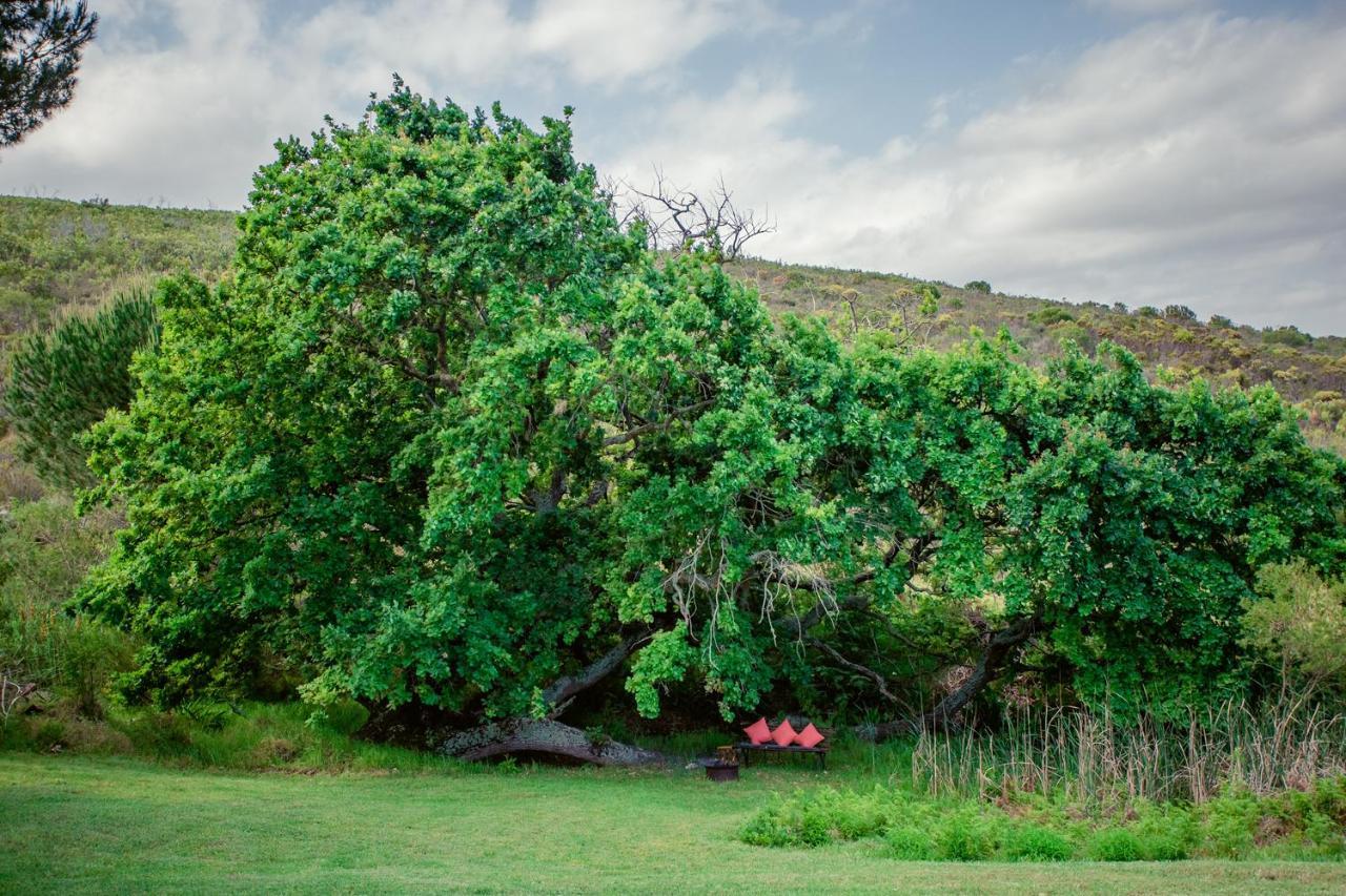 Goedvertrou Guest Farm Papiesvlei Екстериор снимка
